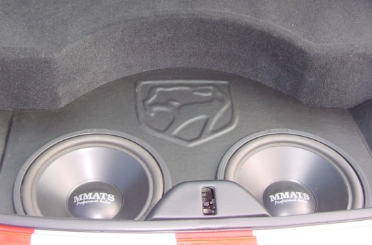 Ten Inch Subwoofers and Custom Box