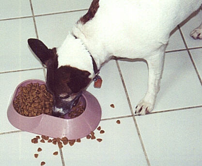 Russell Eating His Food